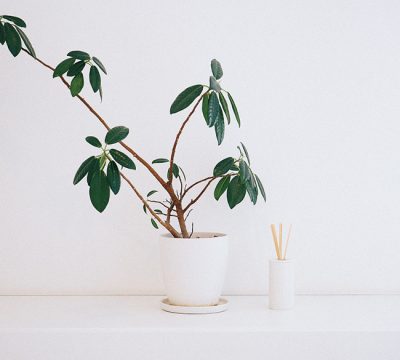 Photo by yi sk on Unsplash