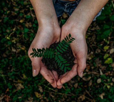 Noah Buscher, Unsplash